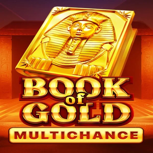 Slots logo of Book of Gold Multichance from Playson at Zoccer Casino